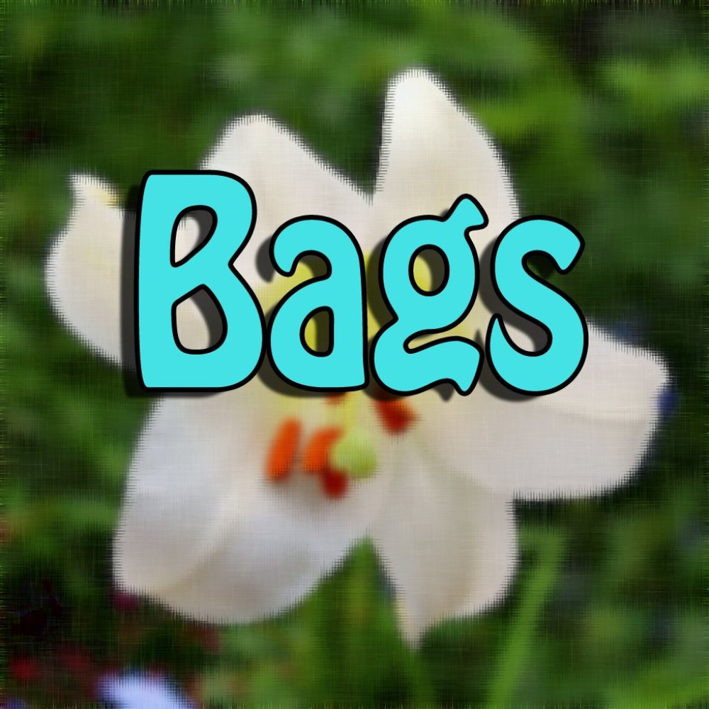 Bags